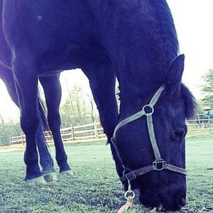 Meet your Posher, Malorie